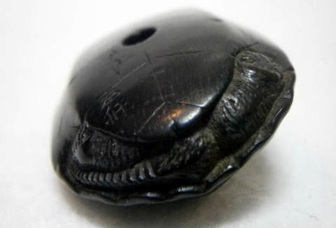 akaebisu-dou Fossil wood? Turtle Netsuke SEKISHU 85YEARS OLD signed 2